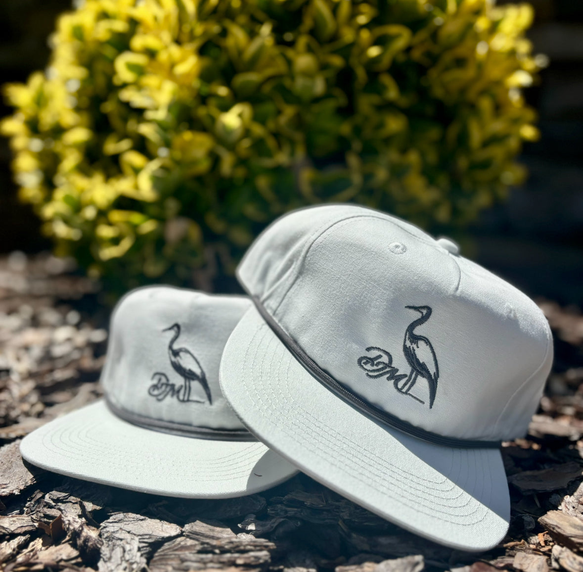 Backshore Embroidered  | Salt