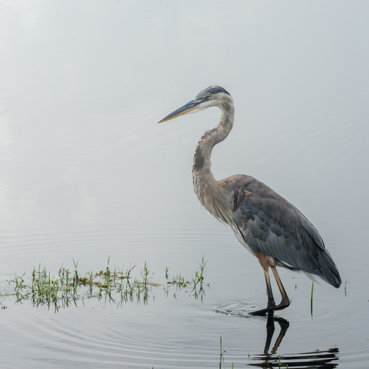 ABOUT | Dirty Marsh Outfitters | Coastal Apparel